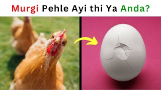 Murgi pehle ayi thi ya anda  Interesting facts about hens  UrduHindi  Info Family [upl. by Randee443]