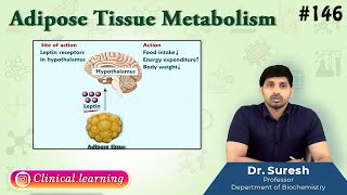 146 Adipose Tissue Metabolism [upl. by Janus]