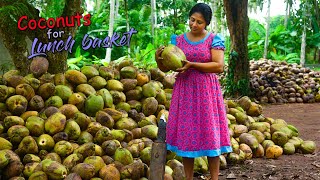 I made a huge lunch basket with coconut dishes for hungry paddy field workers  Traditional Me [upl. by Bergeman]