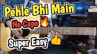 Pehle Bhi Main  No Capo  Easy Guitar Lesson  Chords  Cover  Vishal Mishra  Animal song music [upl. by Clute655]