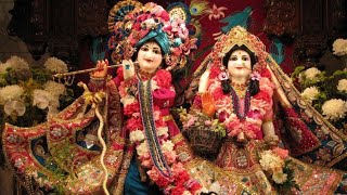 Kirtan live 🙏 comment Radhe Radhe bolo [upl. by Auqinahs]