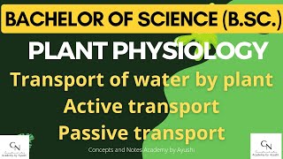 Transport of water in plants  Active and Passive transport  For BSc students  Academy by Ayushi [upl. by Desta]