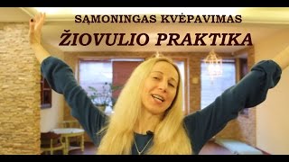 Sąmoningas kvėpavimas Žiovulio praktika [upl. by Atinrehs]