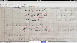 S10 FQIII Isotermas de Langmuir [upl. by Ayokahs]