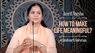 How to Make Life Meaningful  AV Ep 2426  Daily Satsang  9 October 2024  Anandmurti Gurumaa [upl. by Siroled]