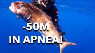 OLTRE 50M IN APNEA PESCASUB AI GROSSI PREDATORI [upl. by Faruq]