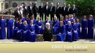 Chili Con Carne  Sirenian Singers [upl. by Aiuqes]