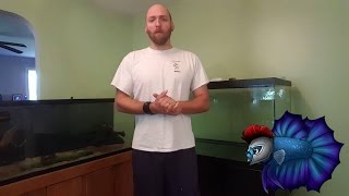 How To Move Sand Easily From Aquarium To Aquarium [upl. by Pilif]