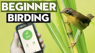 Things ALL Beginner Birders Should Do [upl. by Larochelle905]