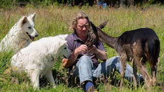 Fawn handreared by family  and becomes best friend to two dogs  SWNS [upl. by Avirt896]