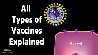 All Types of Vaccines How They Work Animation [upl. by Annawak]