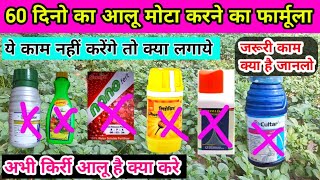 50 से 60 दिन के आलू मोटा कैसे बनाये जानलो  aalo mota kaise kre  early blight  late blight  aalu [upl. by Cirek]