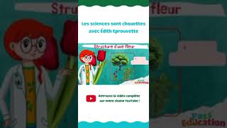 A quoi servent les différentes parties des fleurs  CM1 Edith Eprouvette Sciences [upl. by Lyret]