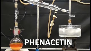 PHENACETIN SYNTHESIS WILLIAMSON ncchem [upl. by Demona387]