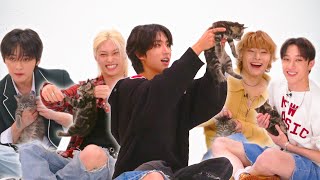 Stray Kids The Kitten Interview [upl. by Ladnor]