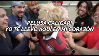 Canción de Pelusa Caligari Flip Ska [upl. by Asoral]