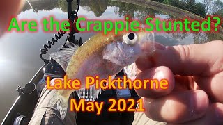 New Lake are the Crappie Stunted Fishing Lake Pickthorne Arkansas [upl. by Nylaras]