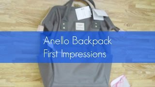 Anello Backpack First Impressions  How Much Can It Hold [upl. by Jea]