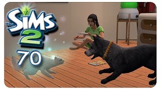 Ein Herz und eine Seele 70 Die Sims 2  Alle Addons  Gameplay 1080p [upl. by Artsa526]