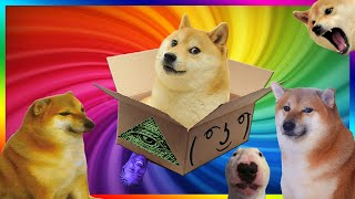 Doge Unboxing Boxception Box inside a box Darude Sandstorm in forest Dogelore meme [upl. by Arrol976]