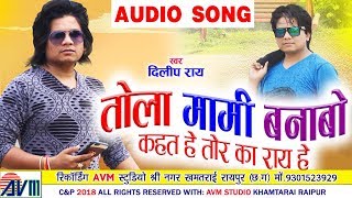 दिलीप राय  Dilip Ray  Cg Song  Tola Mami Banabo Kaht He  Chhattisgarhi Song  2018  AVM STUDIO [upl. by Nefen]