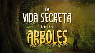 La Vida Secreta De Los Árboles INTRODUCCIÓN Y ENSEÑANZAS [upl. by Newg]