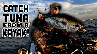 How to Catch BLACKFIN TUNA from a KAYAK Navarre Beach Kayak Fishing [upl. by Ahsilak805]