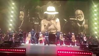 Fally Ipupa LDLC ARENA À LYON 🇨🇵Afsana version live [upl. by Salomie]