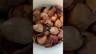 dyeing with avocado seeds amp madder root diy naturaldyeing [upl. by Eintruoc]