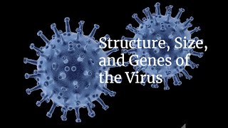 Structure Size and Genes of the Virus [upl. by Kalam]