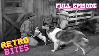 Lassie  Rock Hound  Full Episodes 🐕 [upl. by Beattie]