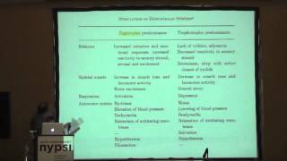 David Schab quotPsychotherapy for the Mind Pharmacology for the Brainquot Part 1 [upl. by Robins]