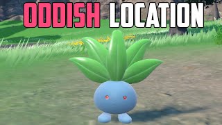 How to Catch Oddish  Pokémon Scarlet amp Violet DLC [upl. by Wyon282]