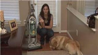 Housekeeping Tips  How to Clean Dog Hair From Carpet [upl. by Seward]