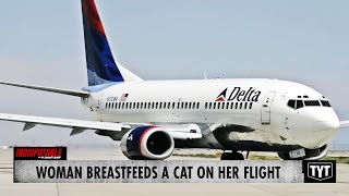 Women are breast feeding kittens on airplanes  HOUSTON LIFE  KPRC 2 [upl. by Hedelman751]