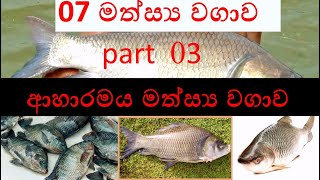 ආහාරමය මත්ස්‍ය වගාව part 03bio systems technology bst sinhalabst lessons sinhala [upl. by Ardith622]