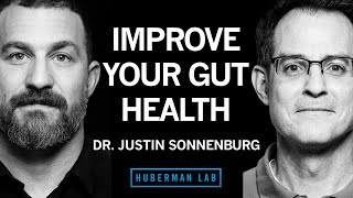 Dr Justin Sonnenburg How to Build Maintain amp Repair Gut Health  Huberman Lab Podcast 62 [upl. by Roumell543]