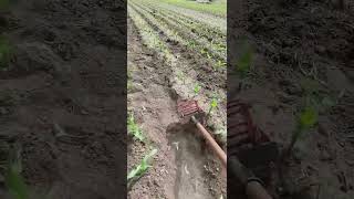 Seeder Agricultural Machinery DIY Creation DIY creative love use usefull dailyuse amazing [upl. by Neveda260]