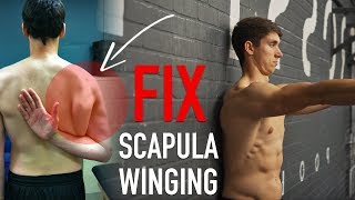 Fix Scapula Winging FULL ROUTINE [upl. by Ahsemo314]