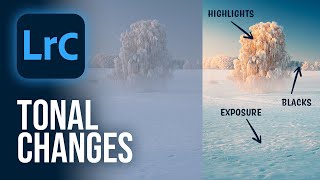 The Importance of TONAL ADJUSTMENTS Lightroom Classic Tutorial [upl. by Elehcim]