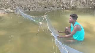 மீன்களை விரட்டி விரட்டி பிடிப்போம் வாருங்கள்  fishing video  fish  tamil [upl. by Giltzow]