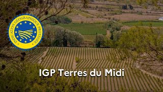 Les vins « Terres du Midi » reconnus en IGP [upl. by Amrita147]