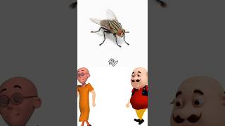 fly sound shorts trending funny viral shortvideo cartoon short ytshorts animals pets [upl. by Gorrian587]