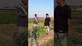 Salary in Village vs City dubai funny comedy shortsvideo Village provikrant [upl. by Eletnahs]