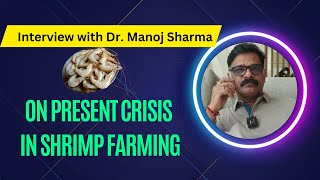 Shrimp farmers perspective on the present crisis in the industry Interview with Dr Manoj Sharma [upl. by Zachar781]