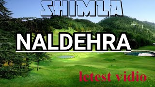 NaldehraMost Beutifull Tourist Place to Visit in Shimla Himach Pradeshgevendra kamde vlogs [upl. by Eidaj]