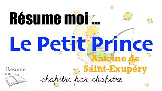 Le Petit Prince  Antoine SaintExupéry  Résumé chapitre par chapitre [upl. by Ehcram]