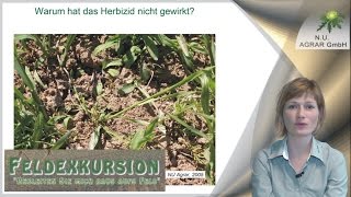 42 Feldexkursion Herbizide  NU Agrar 08062016 herbicide resistance [upl. by Drawyeh]