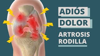 🦵 Elimina el DOLOR de la ARTROSIS de RODILLA EJERCICIOS FÁCILES [upl. by Wachtel]