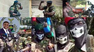 POWERFUL BIAFRA SOLDIERS JUST ARRIVED FROM [upl. by Ahseet]